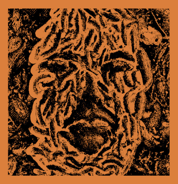 Entanglement OST
