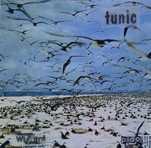 Wizzard (Frequency Song)