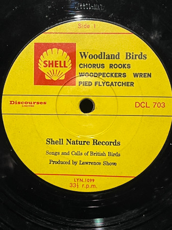 Woodland Birds