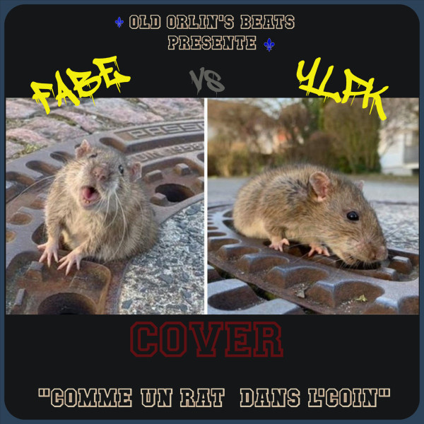 Comme Un Rat Dans L'coin