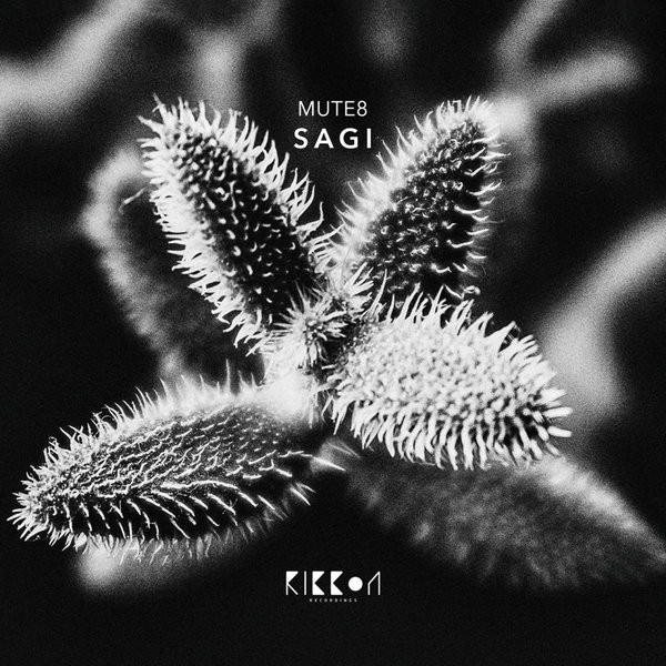 Sagi