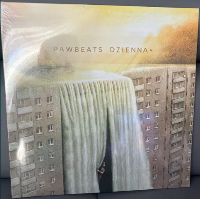 Dzienna