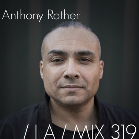 IA MIX 319 