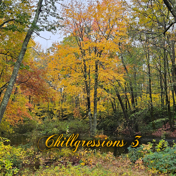 Chillgressions 3