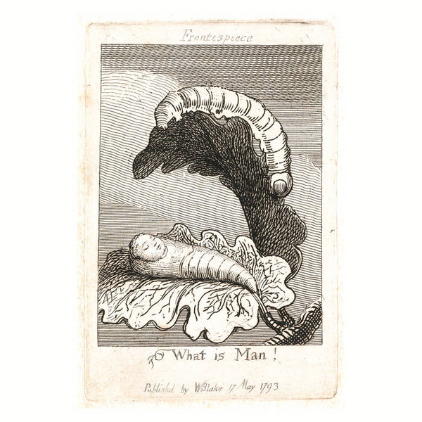 Frontispiece​, ​"What Is Man​!​"