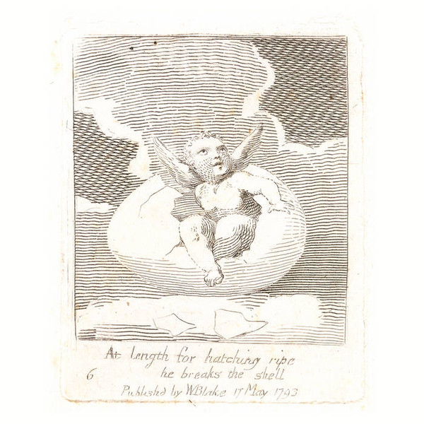 At Length For Hatching Ripe He Breaks The Shell