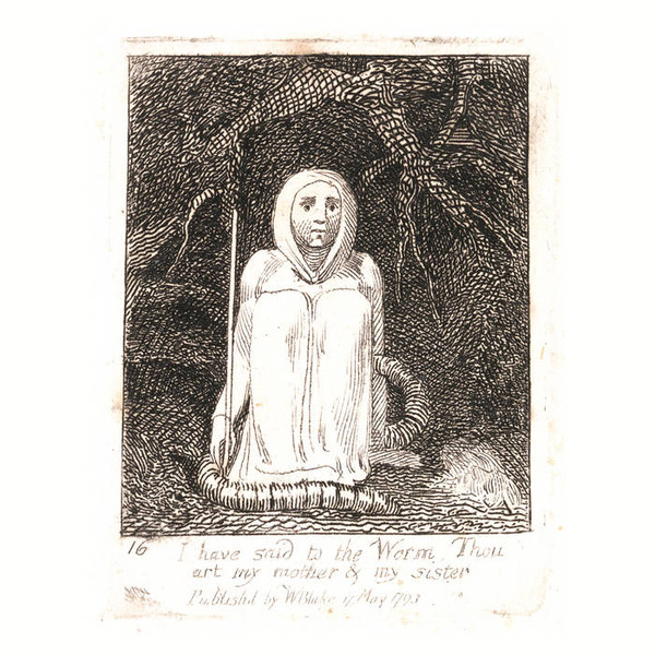 I Have Said To The Worm: Thou Art My Mother And My Sister.