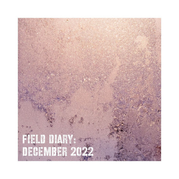 Field Diary: December 2022