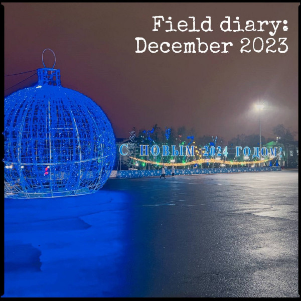 Field Diary: December 2023