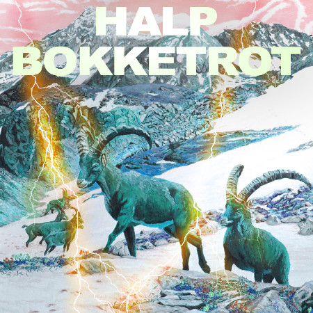 Bokketrot