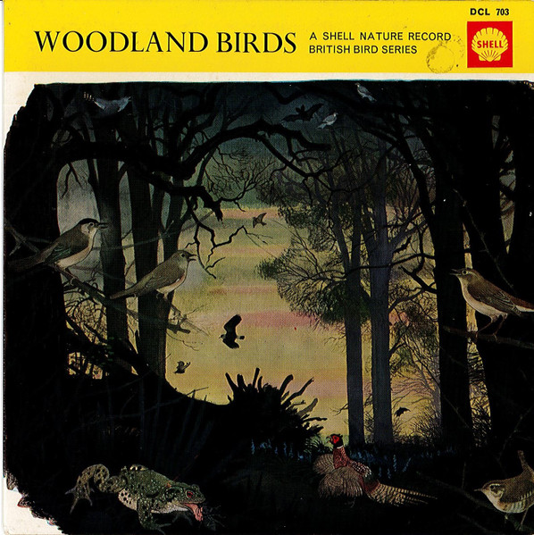 Woodland Birds