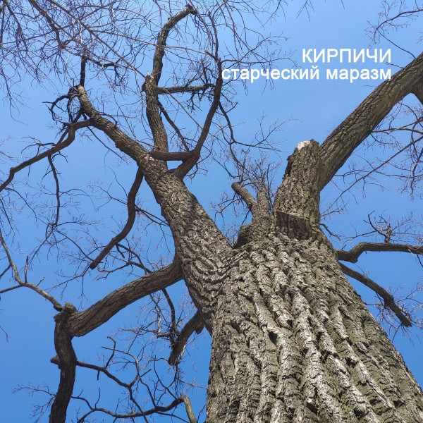 Старческий Маразм