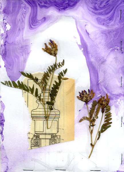 Lilac Honey