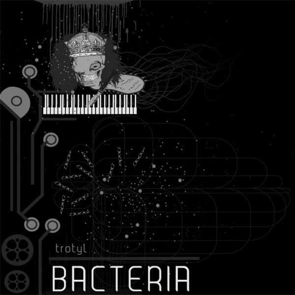 Bacteria