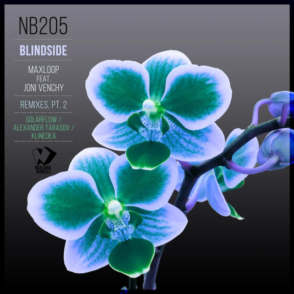 Blindside (Remixes, Pt. 2)