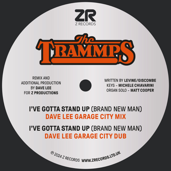  I've Gotta Stand Up (Brand New Man) (Dave Lee Garage City Mix)
