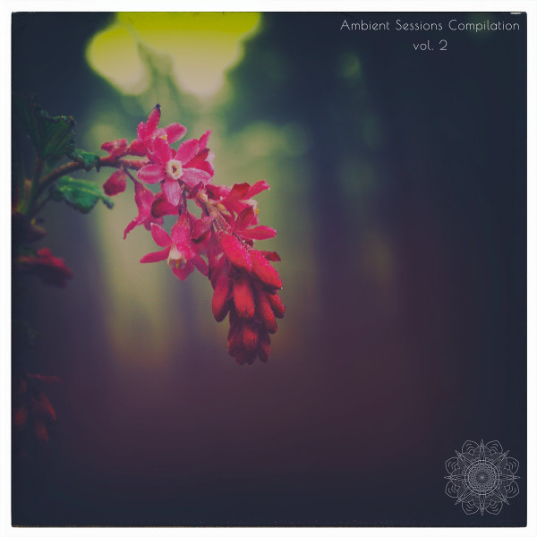 Ambient Sessions Compilation Vol.2