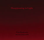 Disappearing In Light