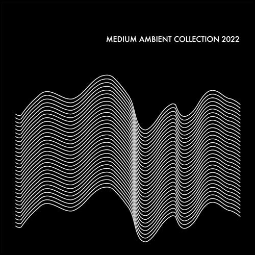 Medium Ambient Collection 2022 Black