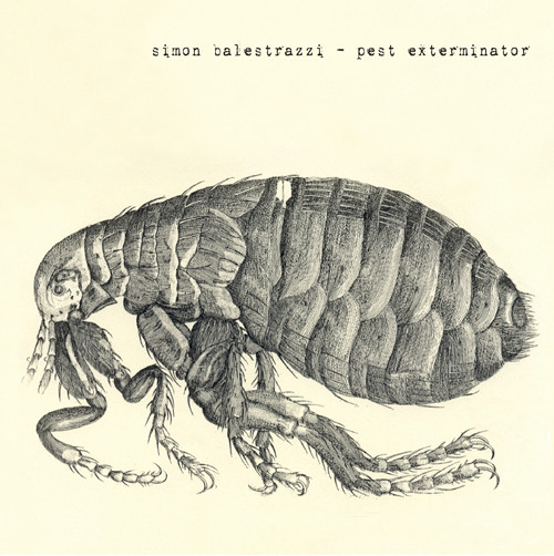 Pest Exterminator