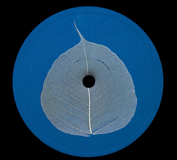 The Bodhi E.P.