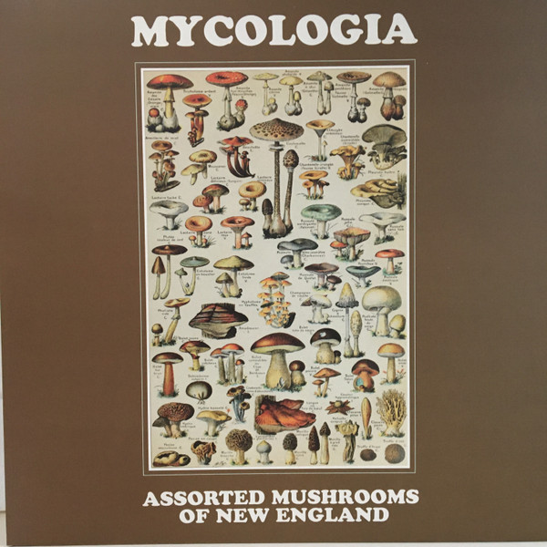 Assorted Mushrooms Of New England