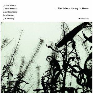Living In Pieces
