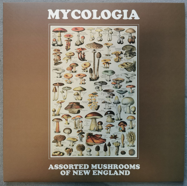 Assorted Mushrooms Of New England