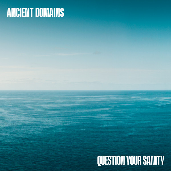 Question Your Sanity