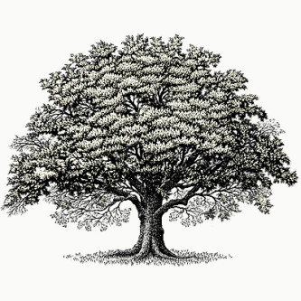 14 Tracks: Tracing Psyche Dub