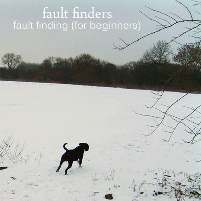 Fault Finding (For Beginners)