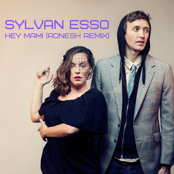Hey Mami (Ronesh remix)