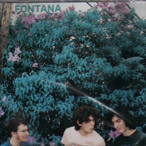 Fontana