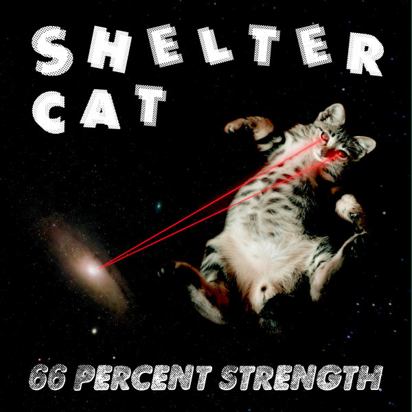 66 Percent Strength