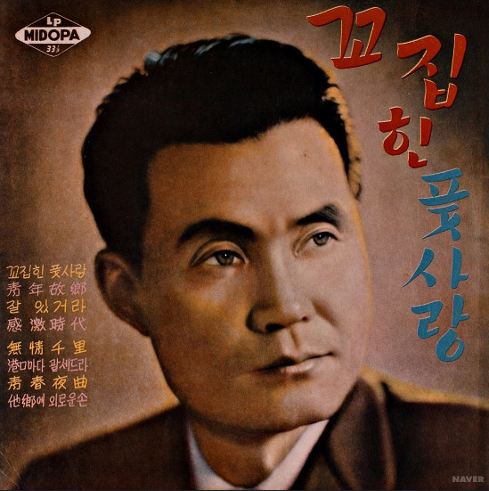 꼬집힌 풋사랑