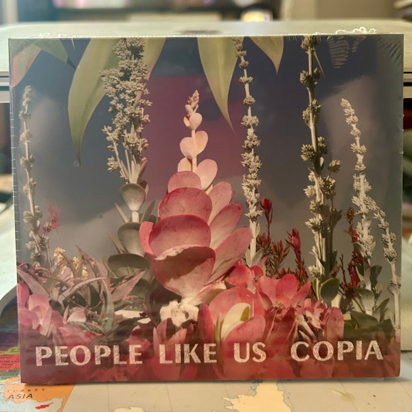  Copia