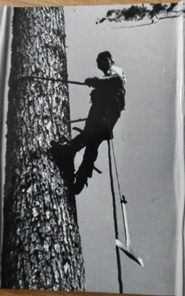 Ropes And Chains