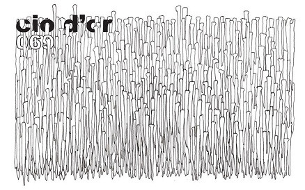 Process Series Part 069 (Polarlicht 22)