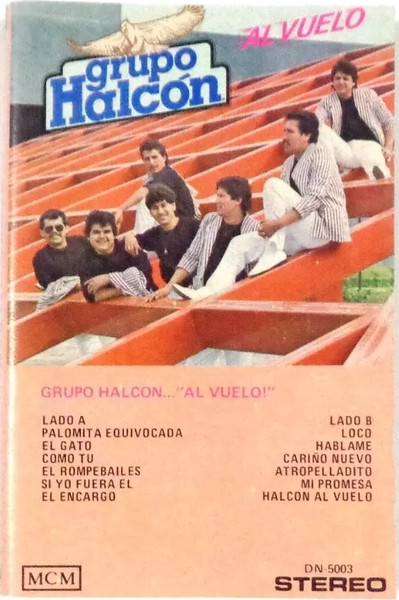 Al Vuelo