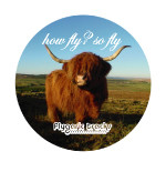 How Fly?  So Fly - Volume 1