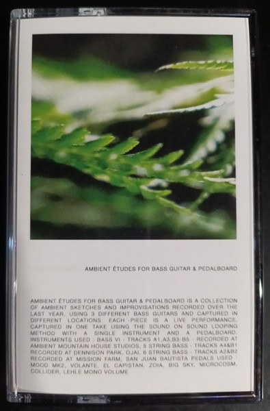 Ambient Études For Bass Guitar & Pedalboard