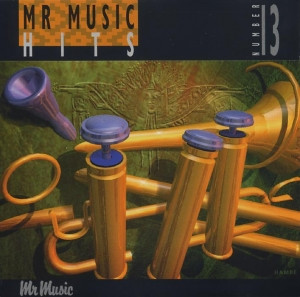 Mr Music Hits Number 13