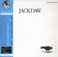 Jackdaw