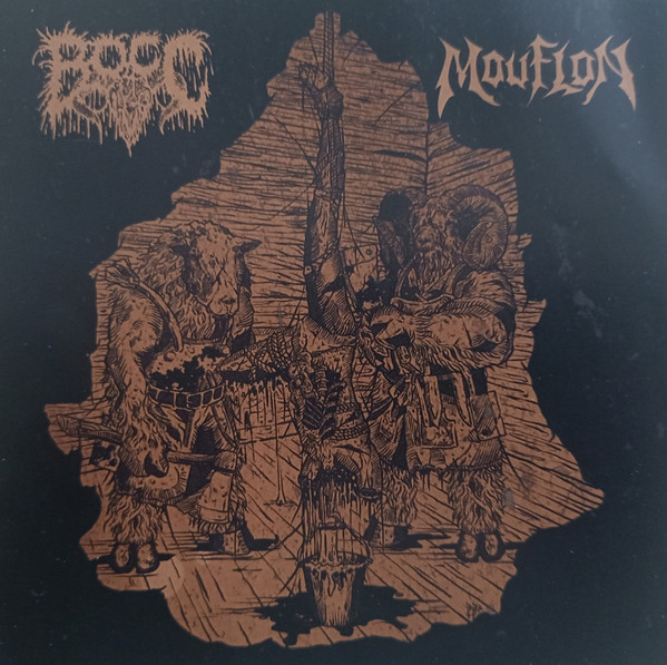 Bocc / Mouflon