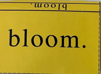 Bloom.