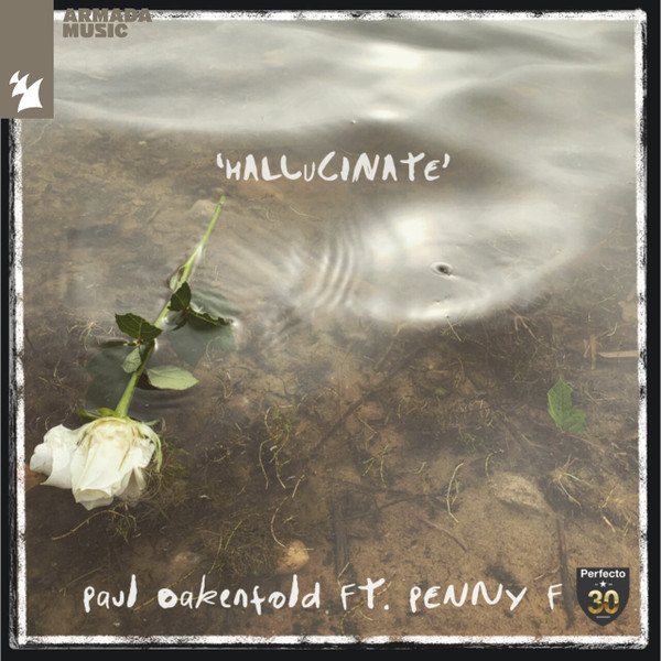 Hallucinate
