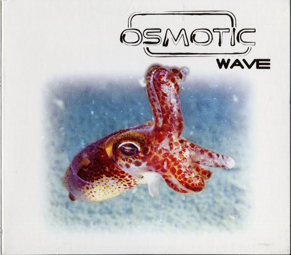 Osmotic Wave