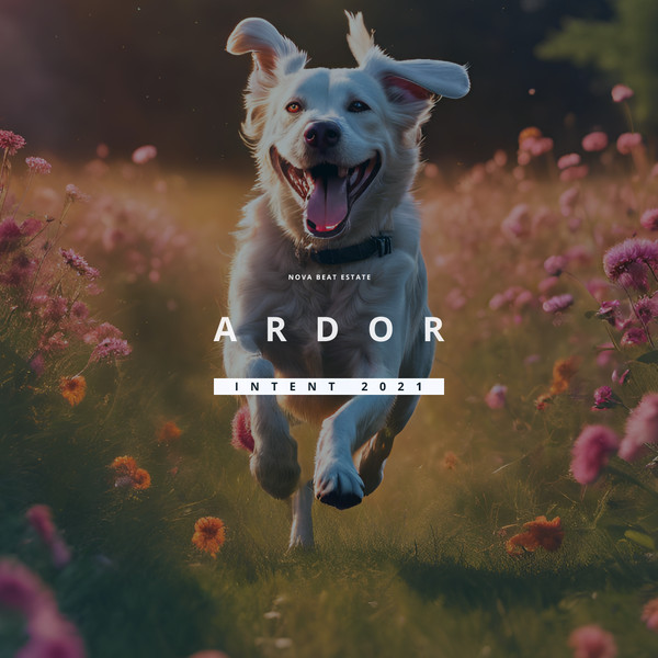 INTENT 2021: Ardor