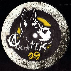 Architek 29