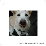 Man Is The Warmest Place To Hide